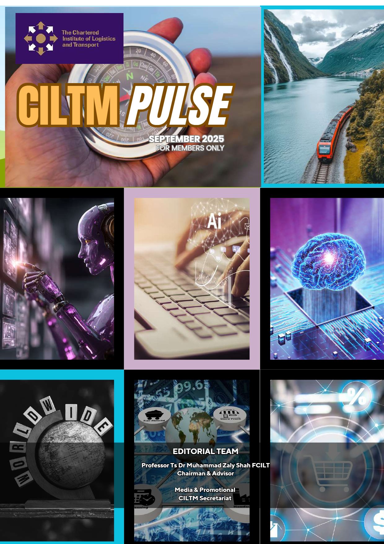 CILTM Newsletter